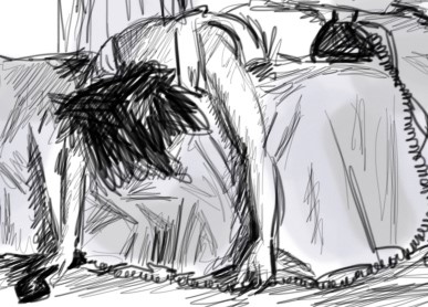 Marcos Damigo: tudo. em uma noite