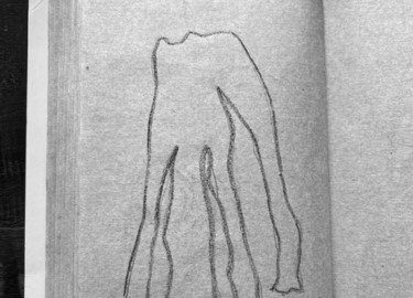 PAULA PETRECA: TROVAS